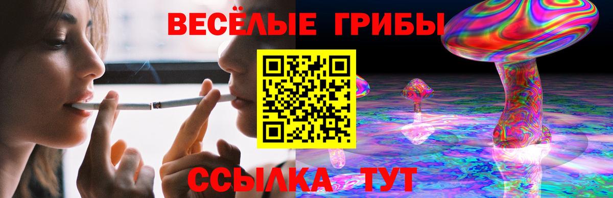 Псилоцибиновые грибы мицелий Ирбит