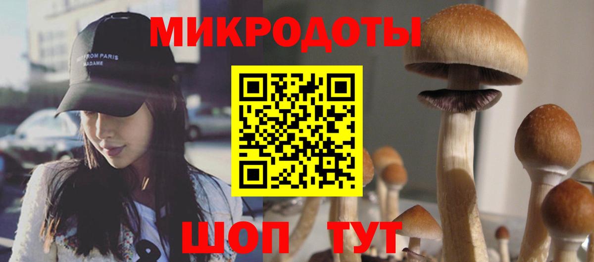 Ирбит  Галлюциногенные грибы Psilocybine cubensis  Вход с VPN 